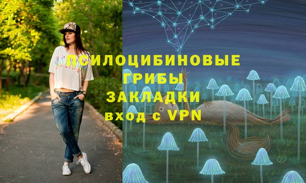сатива Нея