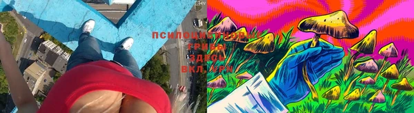 сатива Нея
