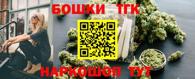 молекула духа Гатчина