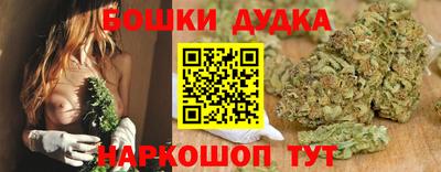 крисы Гагарин
