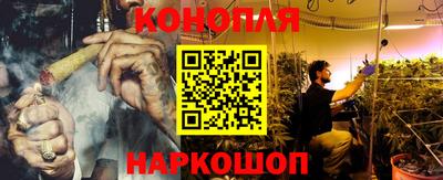 крисы Гагарин