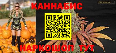 крисы Гагарин