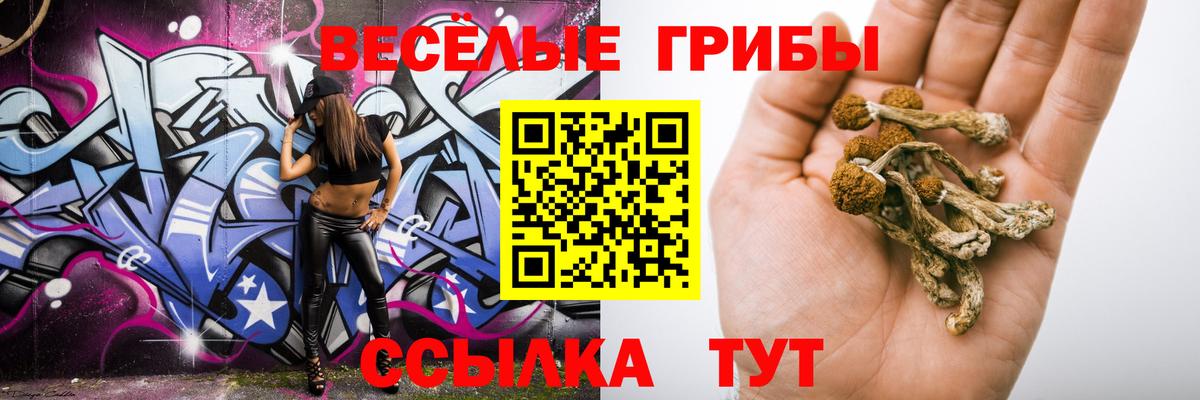 что такое наркотик  Вход с VPN  Луга  Галлюциногенные грибы ЛСД 